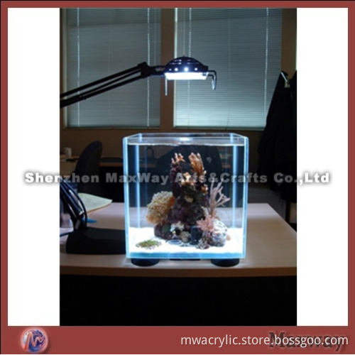 Small Lighting Aquarium